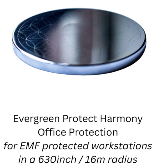 Evergreen Protect Harmony - Relax Workstation